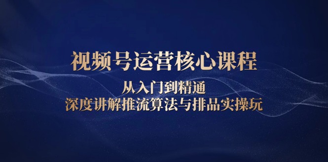 （13863期）视频号运营核心课程，从入门到精通，深度讲解推流算法与排品实操玩-卓越网创