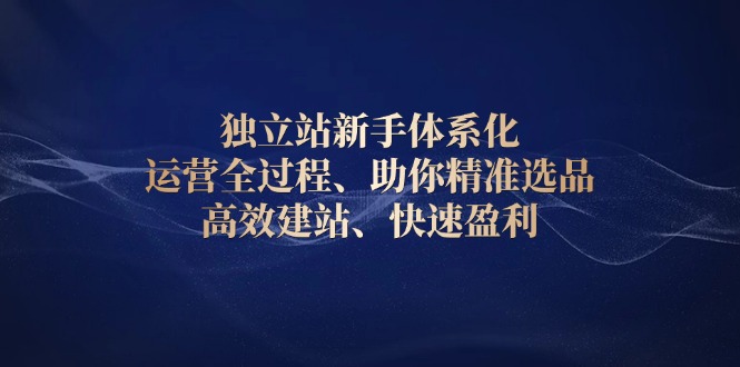 （13914期）独立站新手体系化 运营全过程，助你精准选品、高效建站、快速盈利-卓越网创