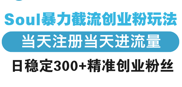 （13935期）Soul暴力截流创业粉玩法，当天注册当天进流量，日稳定300+精准创业粉丝-卓越网创