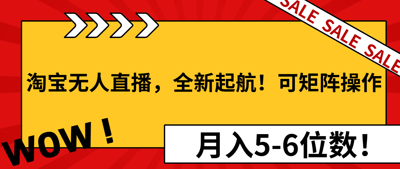 （13946期）淘宝无人直播，全新起航！可矩阵操作，月入5-6位数！-卓越网创